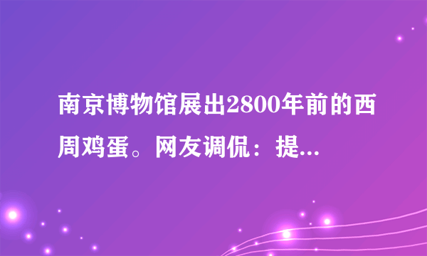 南京博物馆展出2800年前的西周鸡蛋。网友调侃：提取DNA，孵化西周小鸡，看看它与现代鸡有什么不同？……如图所示为鸡的进化关系，下列说法错误的是（　　）A.不同品种的鸡都具有共同的祖先B.原鸡的所有变异都能遗传给后代C.原鸡基因的变异是不定向的D.鸡的进化是自然选择和人工选择的结果