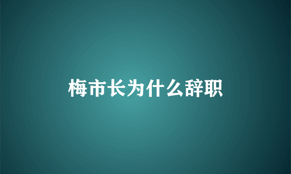 梅市长为什么辞职