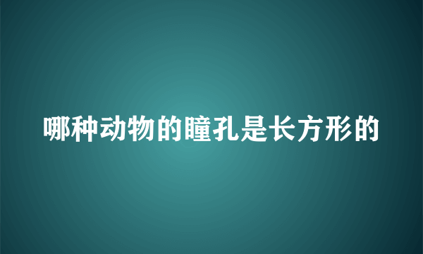 哪种动物的瞳孔是长方形的