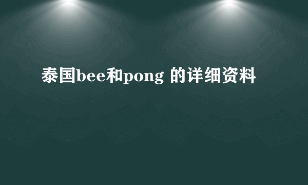 泰国bee和pong 的详细资料