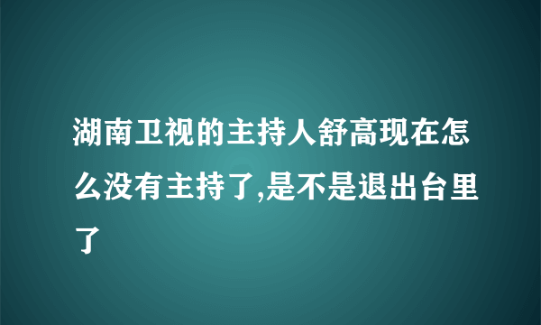 湖南卫视的主持人舒高现在怎么没有主持了,是不是退出台里了