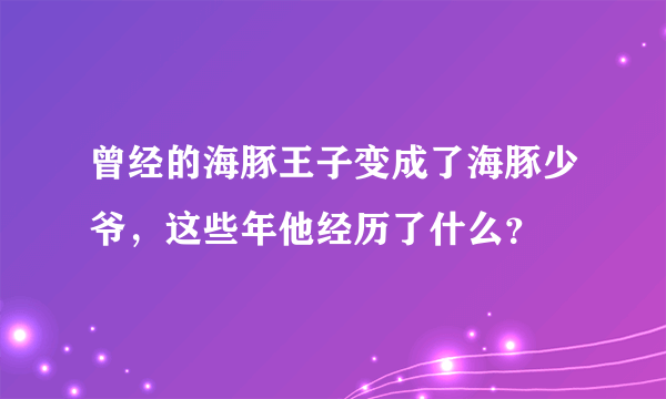 曾经的海豚王子变成了海豚少爷，这些年他经历了什么？