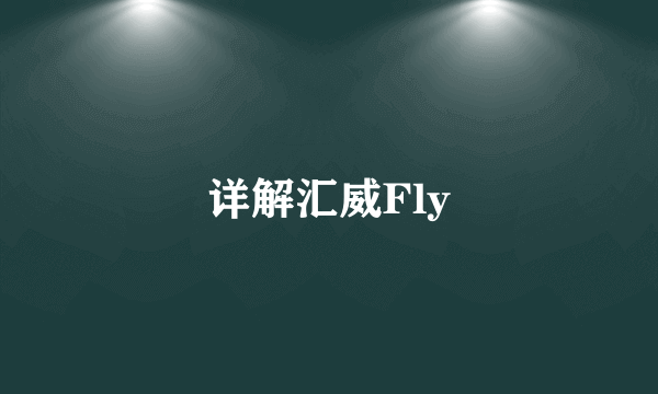 详解汇威Fly