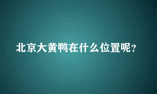 北京大黄鸭在什么位置呢？