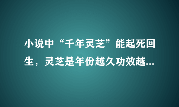 小说中“千年灵芝”能起死回生，灵芝是年份越久功效越好吗 蚂蚁庄园今日答案9月1日