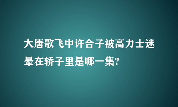 大唐歌飞中许合子被高力士迷晕在轿子里是哪一集?