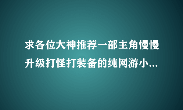 求各位大神推荐一部主角慢慢升级打怪打装备的纯网游小说，不要那种死一次掉级的，内容丰富有想象力耐看的