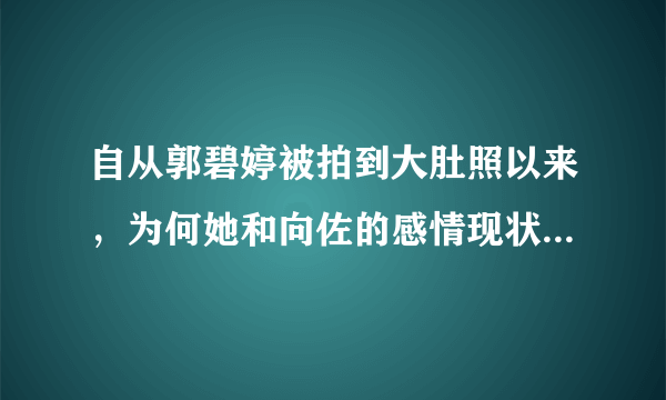 自从郭碧婷被拍到大肚照以来，为何她和向佐的感情现状成为网友热议焦点？