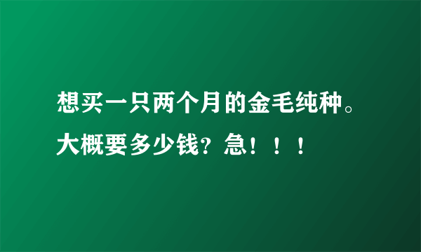 想买一只两个月的金毛纯种。大概要多少钱？急！！！