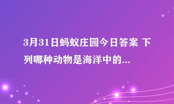 3月31日蚂蚁庄园今日答案 下列哪种动物是海洋中的瞌睡大王