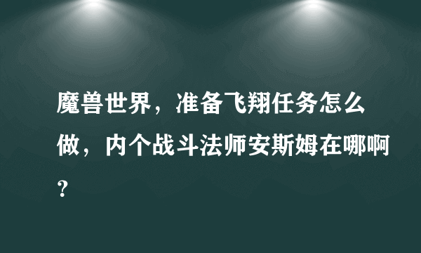 魔兽世界，准备飞翔任务怎么做，内个战斗法师安斯姆在哪啊？