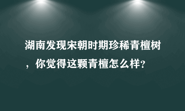 湖南发现宋朝时期珍稀青檀树，你觉得这颗青檀怎么样？