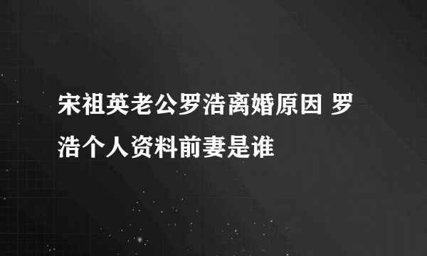 宋祖英老公罗浩离婚原因 罗浩个人资料前妻是谁