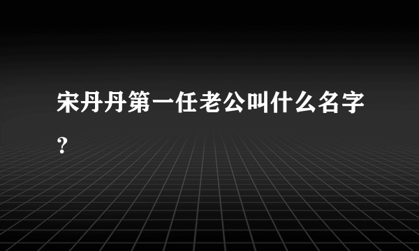 宋丹丹第一任老公叫什么名字？