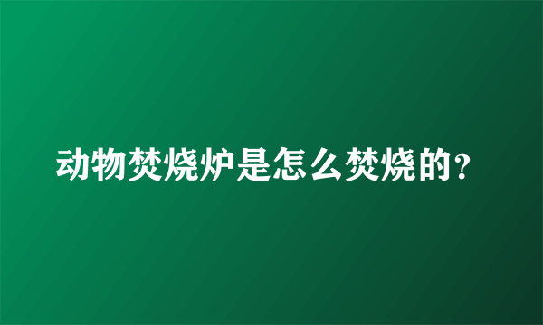 动物焚烧炉是怎么焚烧的？