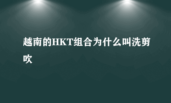 越南的HKT组合为什么叫洗剪吹