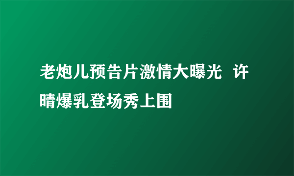 老炮儿预告片激情大曝光  许晴爆乳登场秀上围