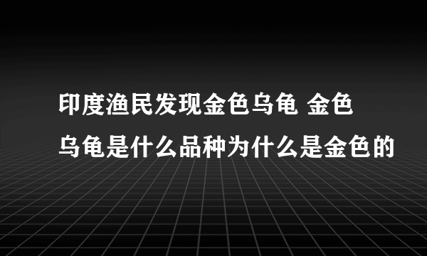 印度渔民发现金色乌龟 金色乌龟是什么品种为什么是金色的