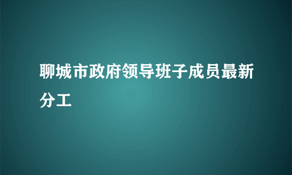 聊城市政府领导班子成员最新分工