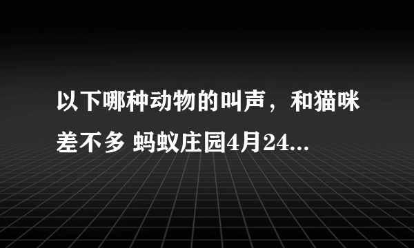 以下哪种动物的叫声，和猫咪差不多 蚂蚁庄园4月24日每日一题答案