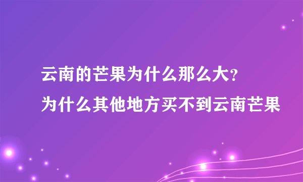 云南的芒果为什么那么大？ 为什么其他地方买不到云南芒果