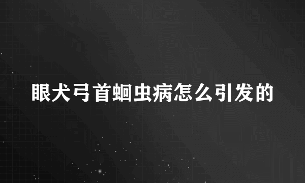 眼犬弓首蛔虫病怎么引发的