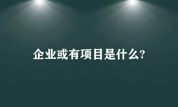 企业或有项目是什么?