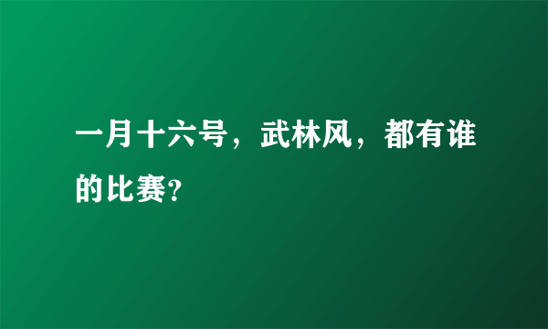 一月十六号，武林风，都有谁的比赛？