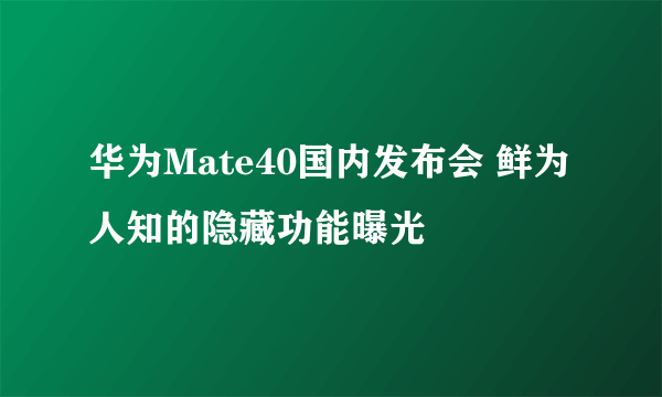 华为Mate40国内发布会 鲜为人知的隐藏功能曝光