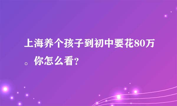 上海养个孩子到初中要花80万。你怎么看？