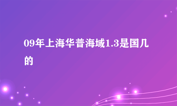 09年上海华普海域1.3是国几的