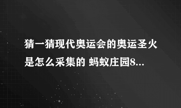 猜一猜现代奥运会的奥运圣火是怎么采集的 蚂蚁庄园8月3日答案最新