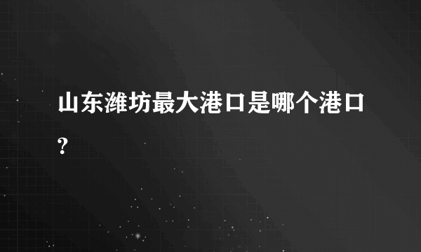 山东潍坊最大港口是哪个港口？