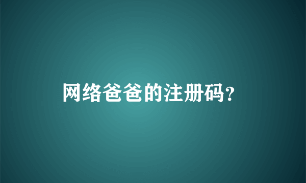 网络爸爸的注册码？