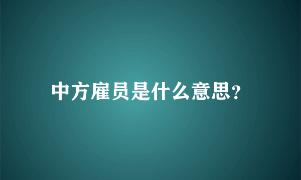 中方雇员是什么意思？