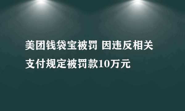 美团钱袋宝被罚 因违反相关支付规定被罚款10万元