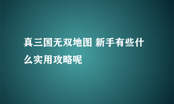 真三国无双地图 新手有些什么实用攻略呢