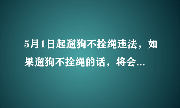 5月1日起遛狗不拴绳违法，如果遛狗不拴绳的话，将会受到哪种处罚？