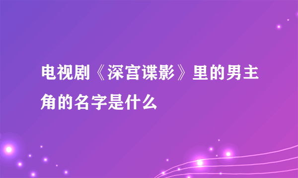 电视剧《深宫谍影》里的男主角的名字是什么