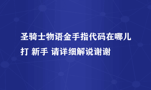 圣骑士物语金手指代码在哪儿打 新手 请详细解说谢谢