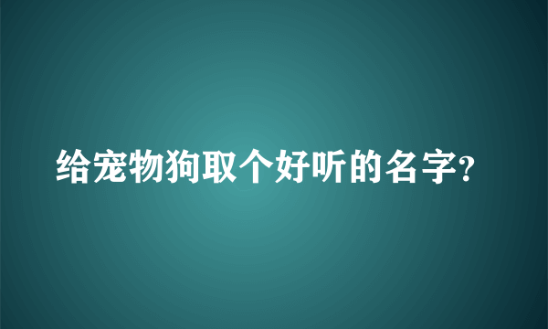 给宠物狗取个好听的名字？