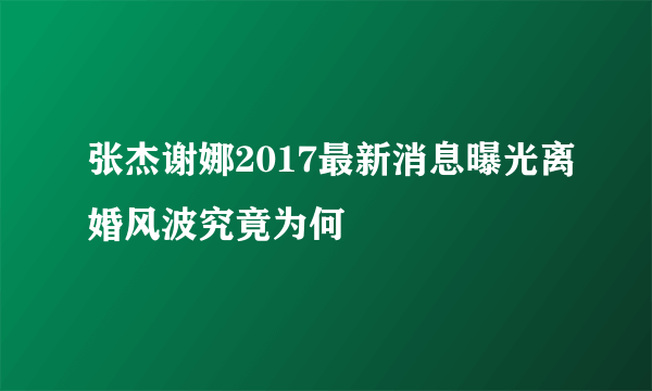 张杰谢娜2017最新消息曝光离婚风波究竟为何