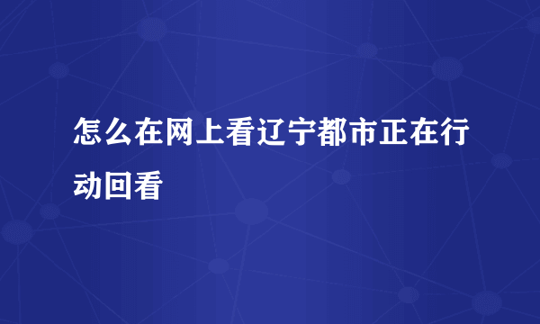 怎么在网上看辽宁都市正在行动回看