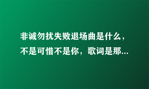 非诚勿扰失败退场曲是什么，不是可惜不是你，歌词是那个什么