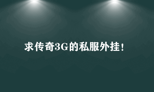 求传奇3G的私服外挂！