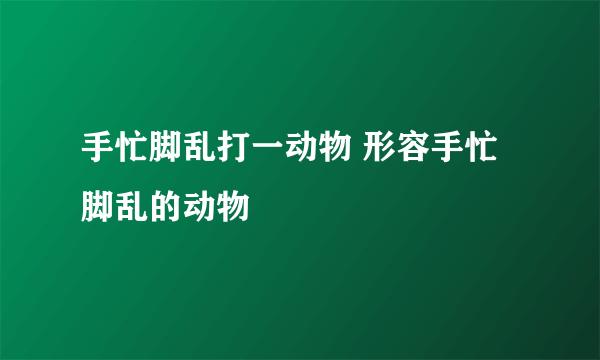 手忙脚乱打一动物 形容手忙脚乱的动物