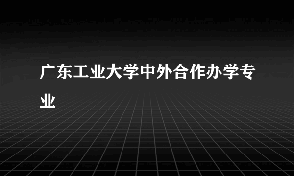 广东工业大学中外合作办学专业