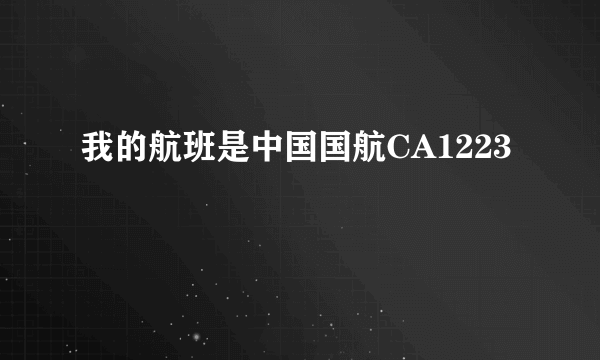 我的航班是中国国航CA1223