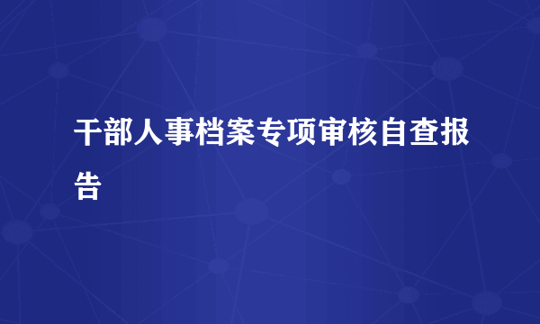 干部人事档案专项审核自查报告