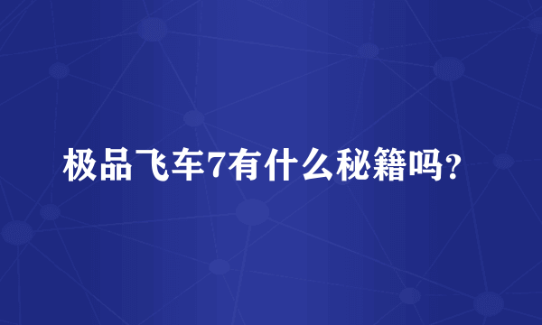 极品飞车7有什么秘籍吗？